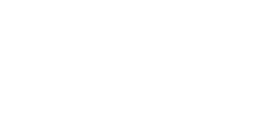 Logo Detsa New White